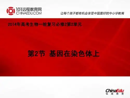 2014年高考一轮复习必修2 2.2基因在染色体上