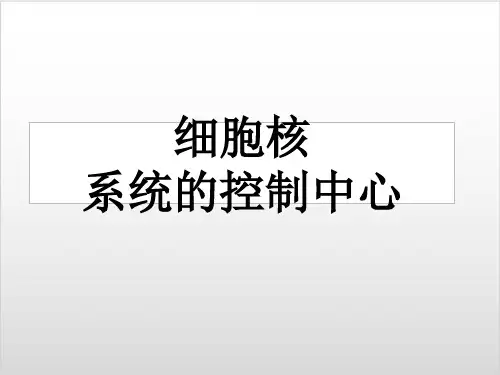 新教材细胞核的结构和功能PPT优质课件人教版1