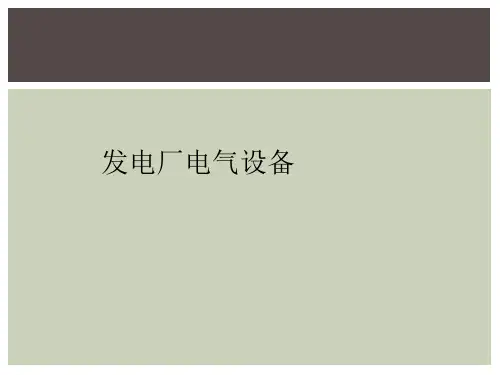 发电厂电气设备