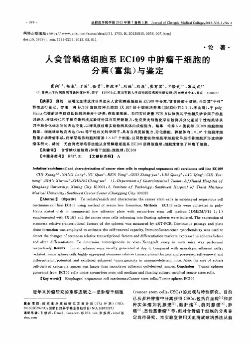 人食管鳞癌细胞系EC109中肿瘤干细胞的分离(富集)与鉴定