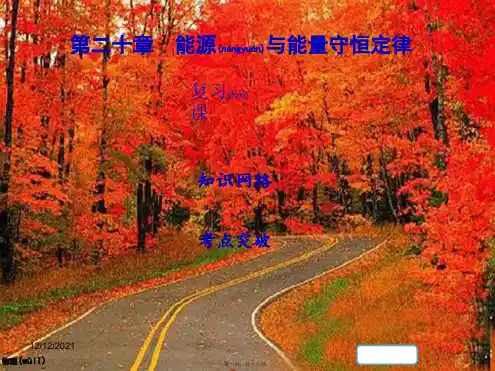 九年级物理下册第二十章能源与能量守恒定律复习版版初中九年级下册物理