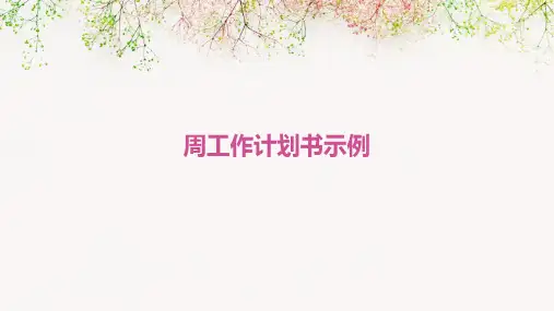周工作计划书示例PPT