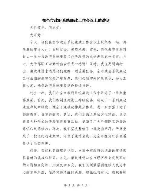 在全市政府系统廉政工作会议上的讲话