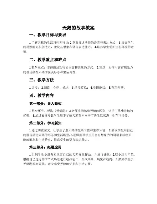 《天鹅的故事》教案
