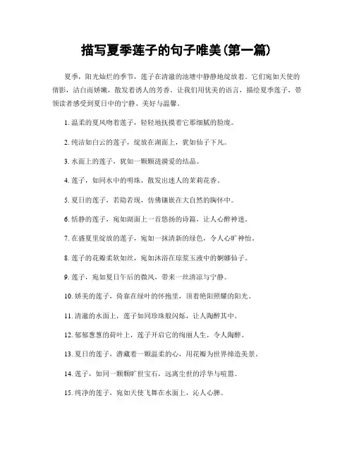 描写夏季莲子的句子唯美(精选合集两篇)