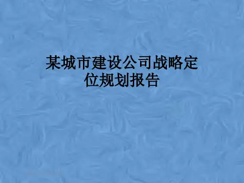 某城市建设公司战略定位规划报告