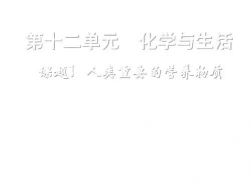 九年级化学人类重要的营养物质1