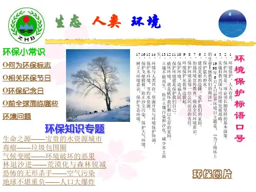 环保知识宣传PPT