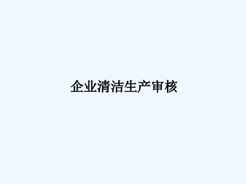清洁生产审核流程详解