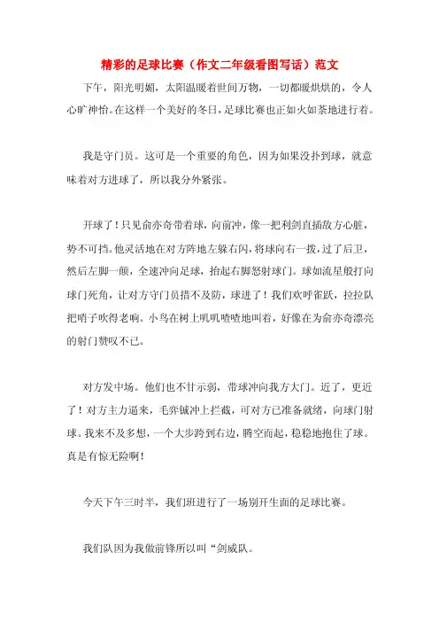 精彩的足球比赛（作文二年级看图写话）范文