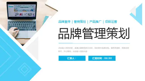 品牌管理策划项目运营分析报告PPT模板