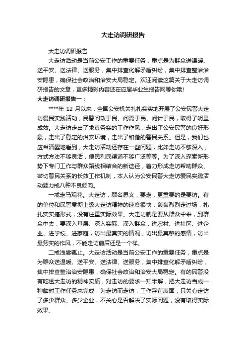 大走访调研报告