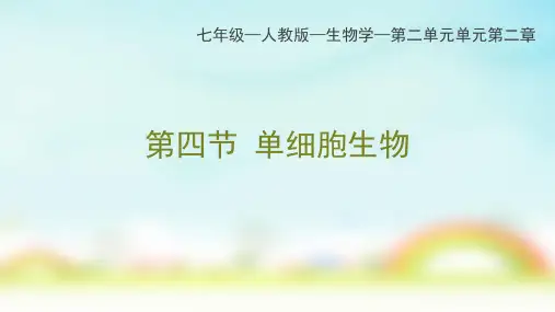 人教版七年级上册生物单细胞生物课件