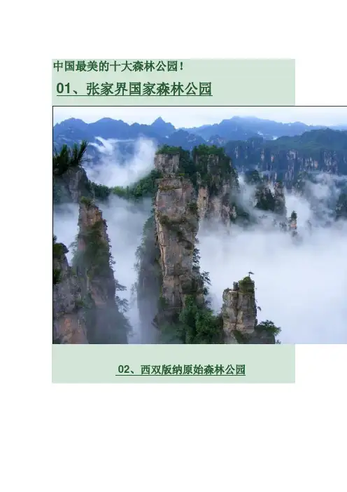中国最美的十大森林公园