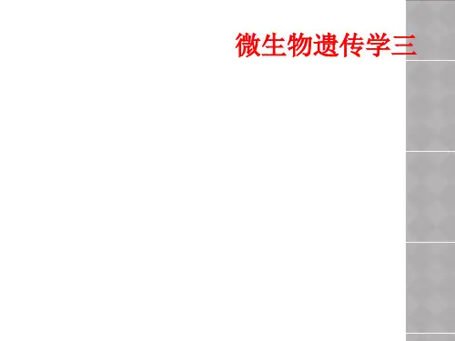 微生物遗传学三