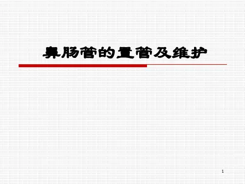 鼻肠管的护理PPT幻灯片课件