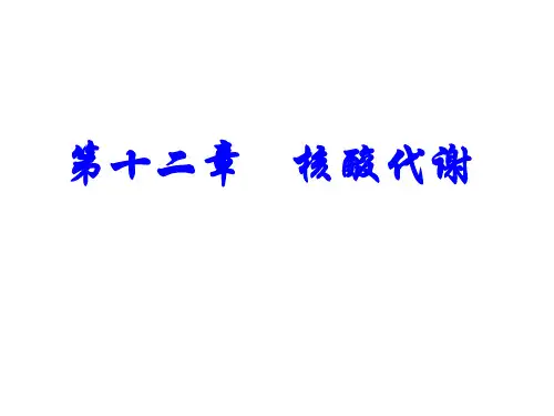 第十二章  核酸代谢