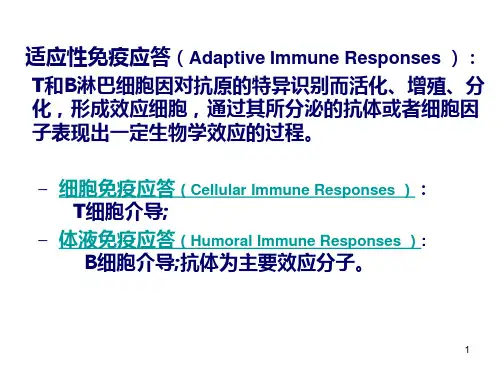 11 体液免疫应答