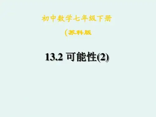 13.2可能性2