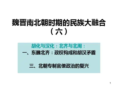 魏晋南北朝时期的民族大融合(六)PPT课件