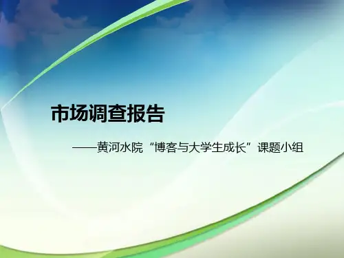 博客市场调查报告定稿