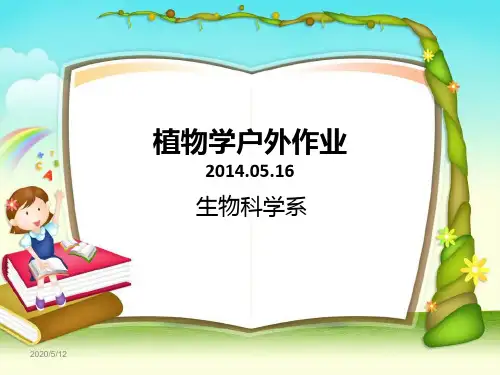 户外观察