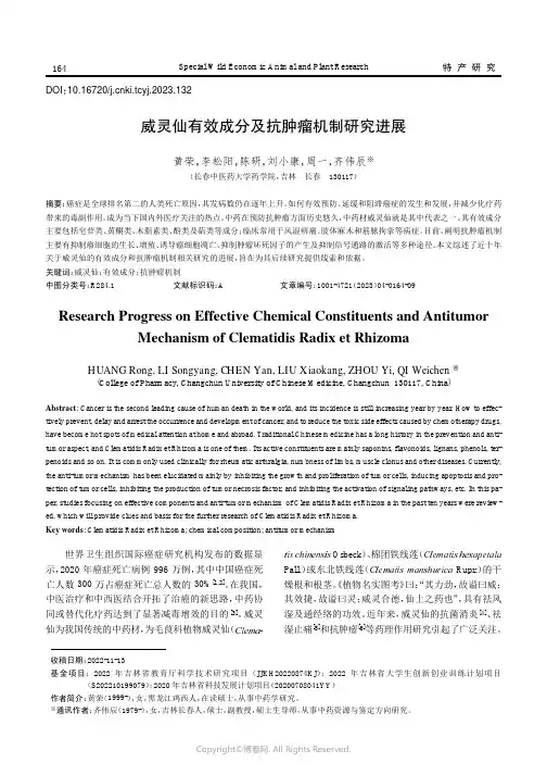 威灵仙有效成分及抗肿瘤机制研究进展