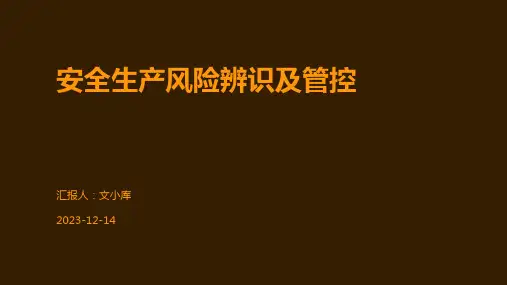 安全生产风险辨识及管控