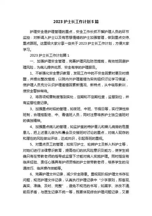 2023护士长工作计划5篇
