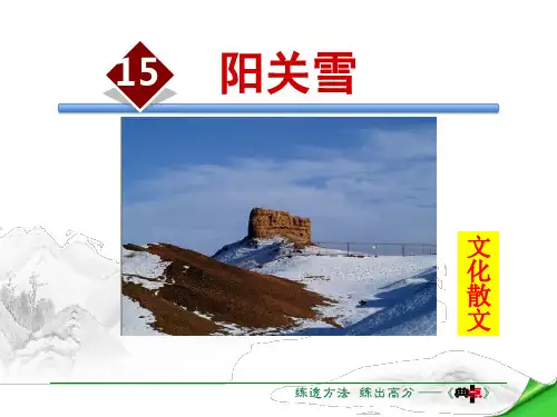 《阳关雪》PPT【优质课件】