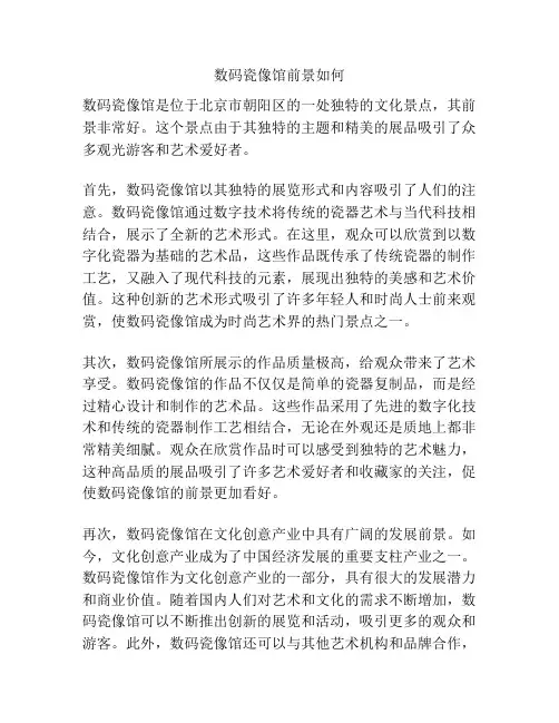 数码瓷像馆前景如何