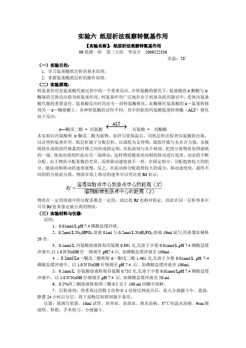 实验六 纸层析法观察转氨基作用  实验报告