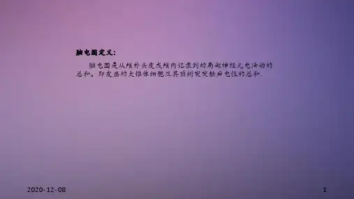脑电图基础知识4干货分享