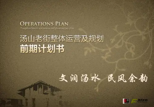南京汤山老街整体运营及规划前期计划