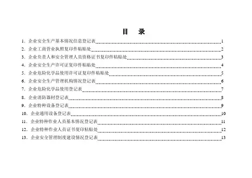 企业安全生产基本情况信息登记表13张