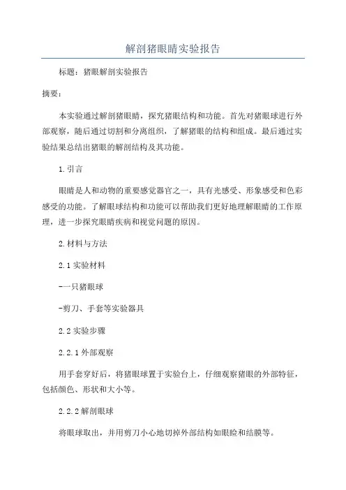 解剖猪眼睛实验报告