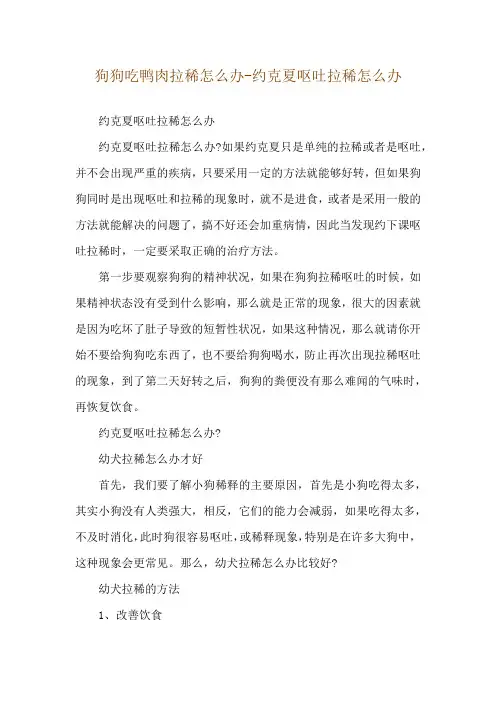 狗狗吃鸭肉拉稀怎么办-约克夏呕吐拉稀怎么办