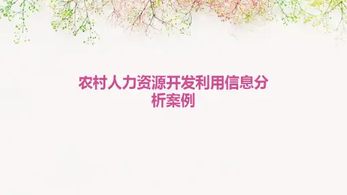 农村人力资源开发利用信息分析案例