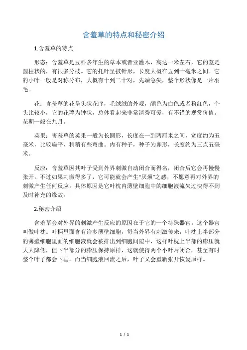 含羞草的特点和秘密介绍