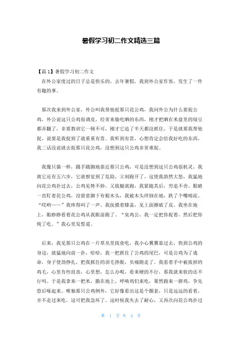 暑假学习初二作文精选三篇
