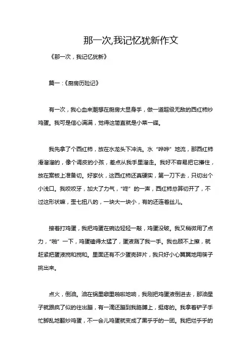 那一次,我记忆犹新作文