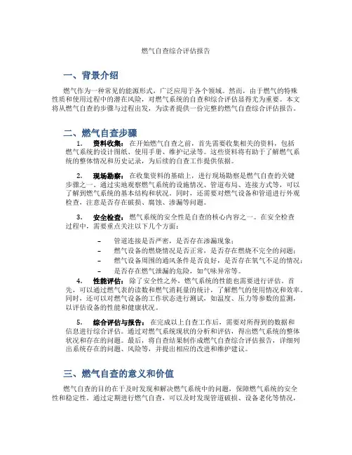 燃气自查综合评估报告