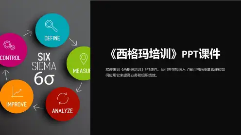《西格玛培训》课件