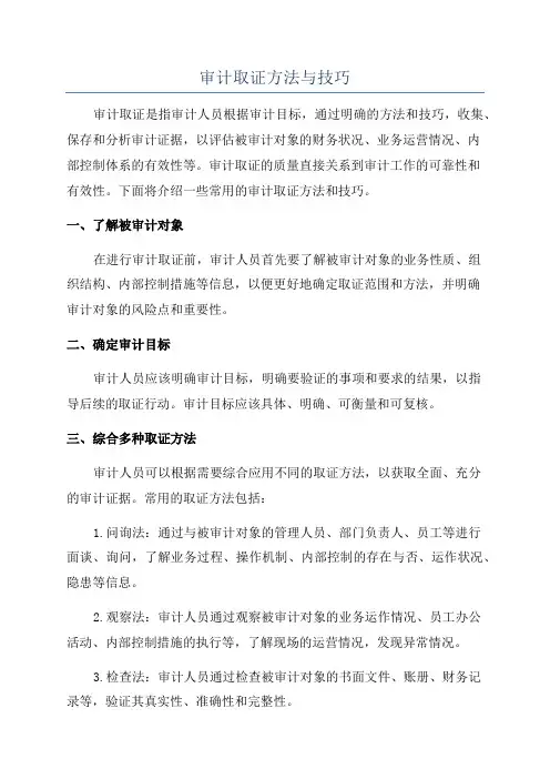 审计取证方法与技巧