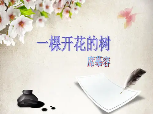 《一棵开花的树》赏析
