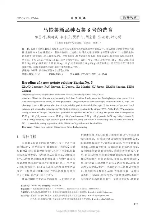 马铃薯新品种石薯6_号的选育