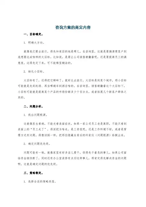 咨询方案的商定内容