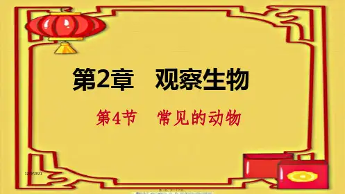 七年级科学 第2章 观察生物 第4节 常见的动物 2.4.4 常见的无脊椎动物 自然科学