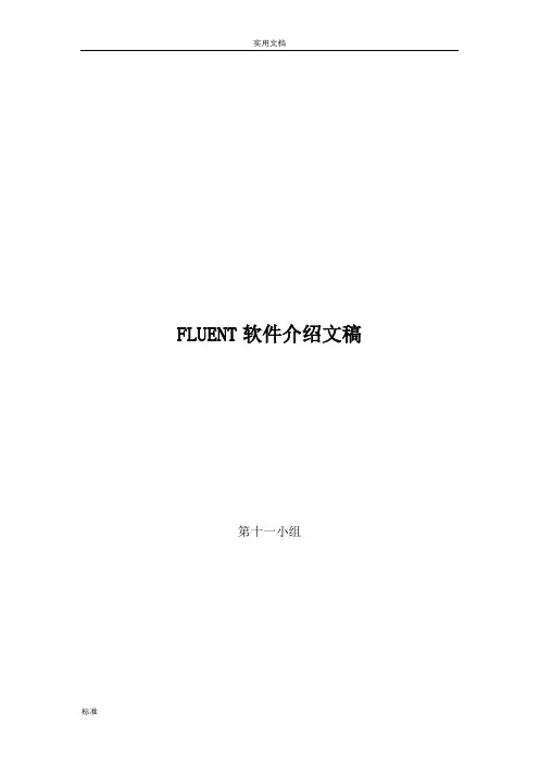 FLUENT软件介绍文稿子