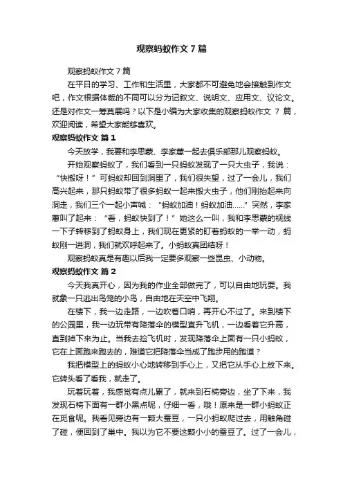 观察蚂蚁作文7篇